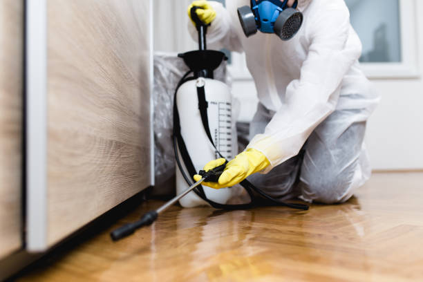 Best Best Pest Control Companies  in Paden City, WV