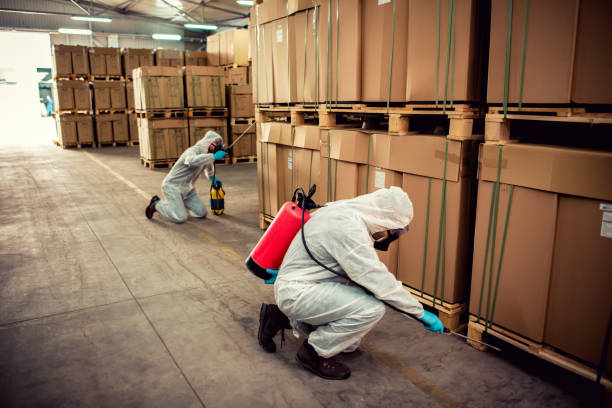 Best Emergency Pest Control  in Paden City, WV