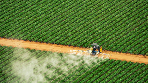 Best Pest Prevention Services  in Paden City, WV