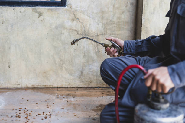 Best Commercial Pest Control Services  in Paden City, WV